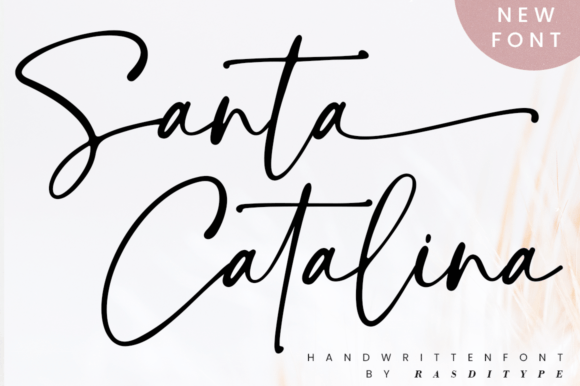Santa Catalina: A Handwritten Font for Modern Web Design and Digital Branding