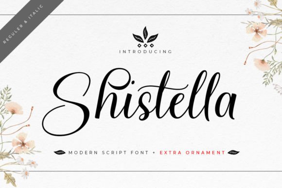 Shistella: Elevating Web Design with Elegance and Readability